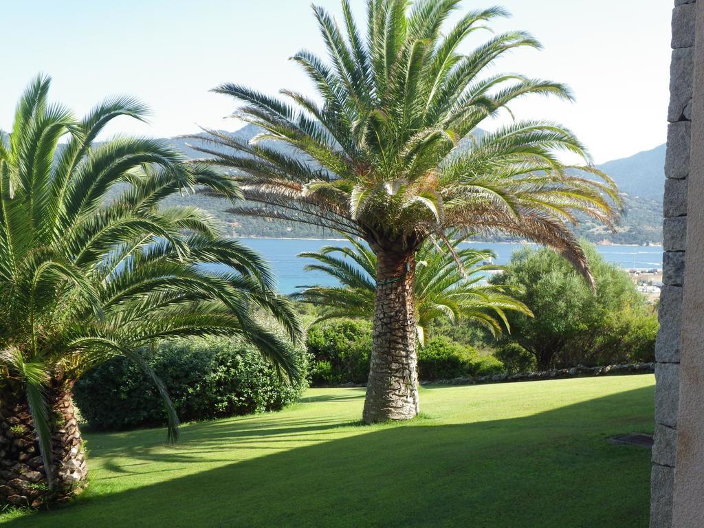Appartamento Marina di fiori Propriano  Esterno foto