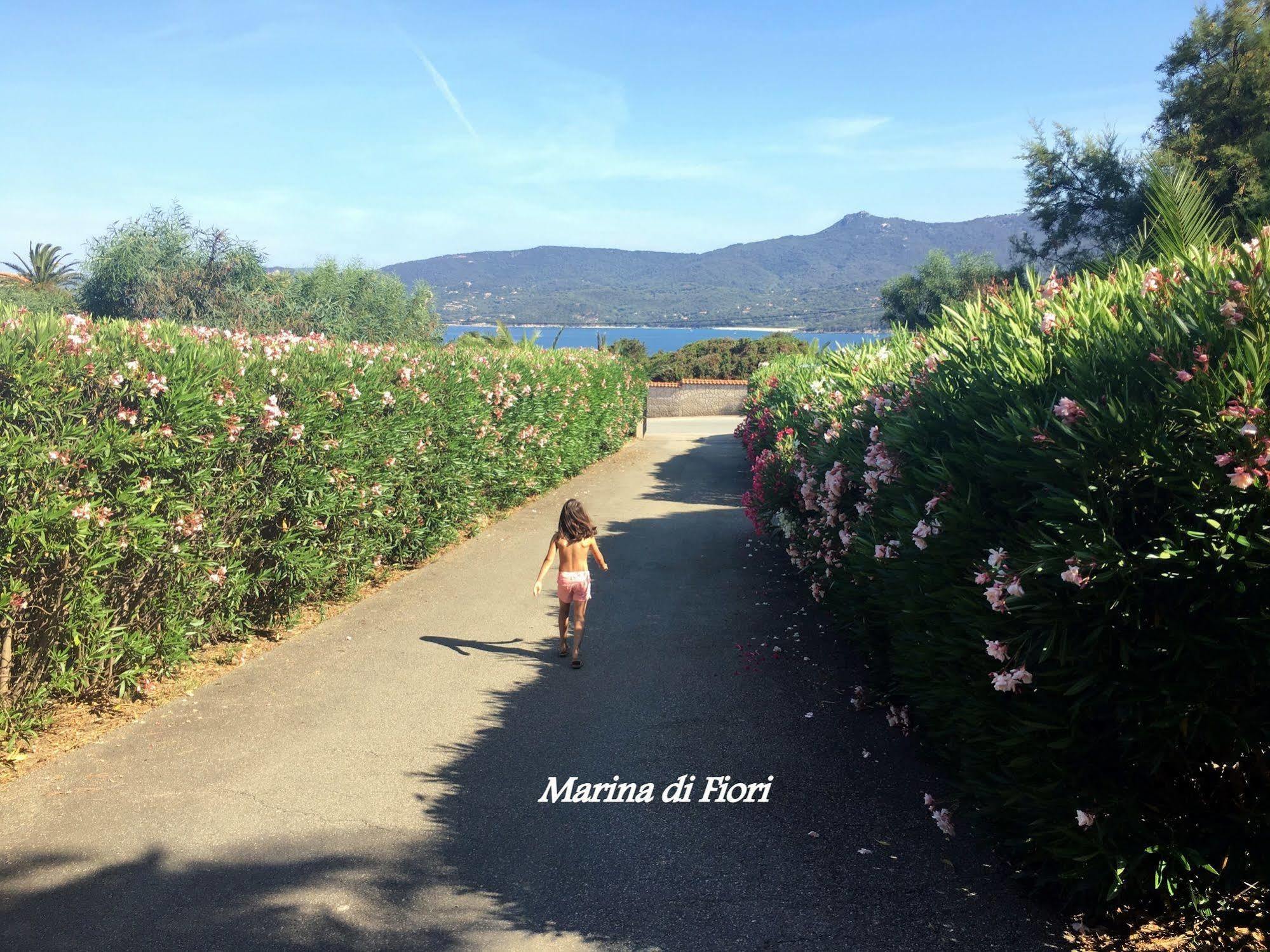 Appartamento Marina di fiori Propriano  Esterno foto