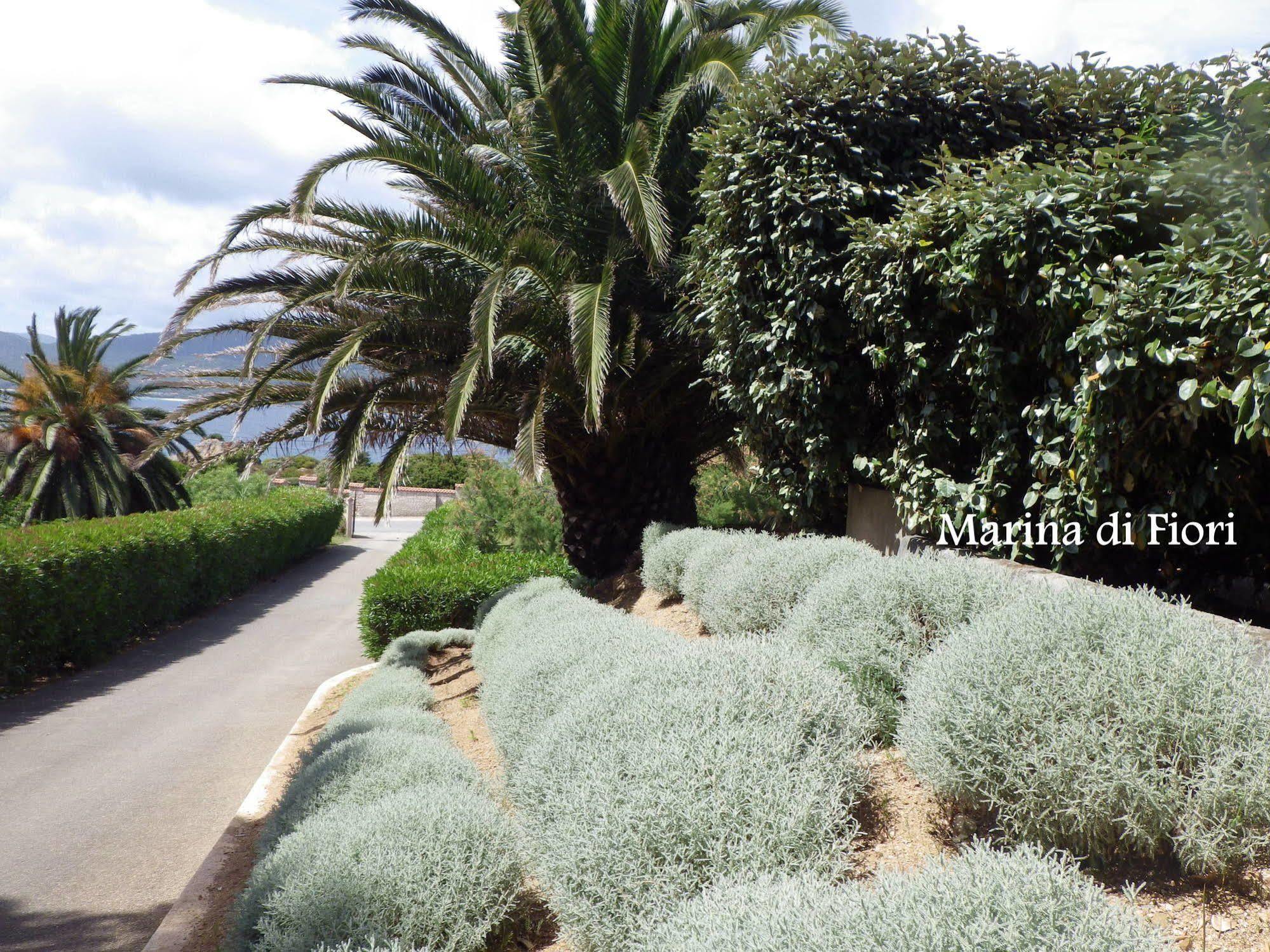 Appartamento Marina di fiori Propriano  Esterno foto